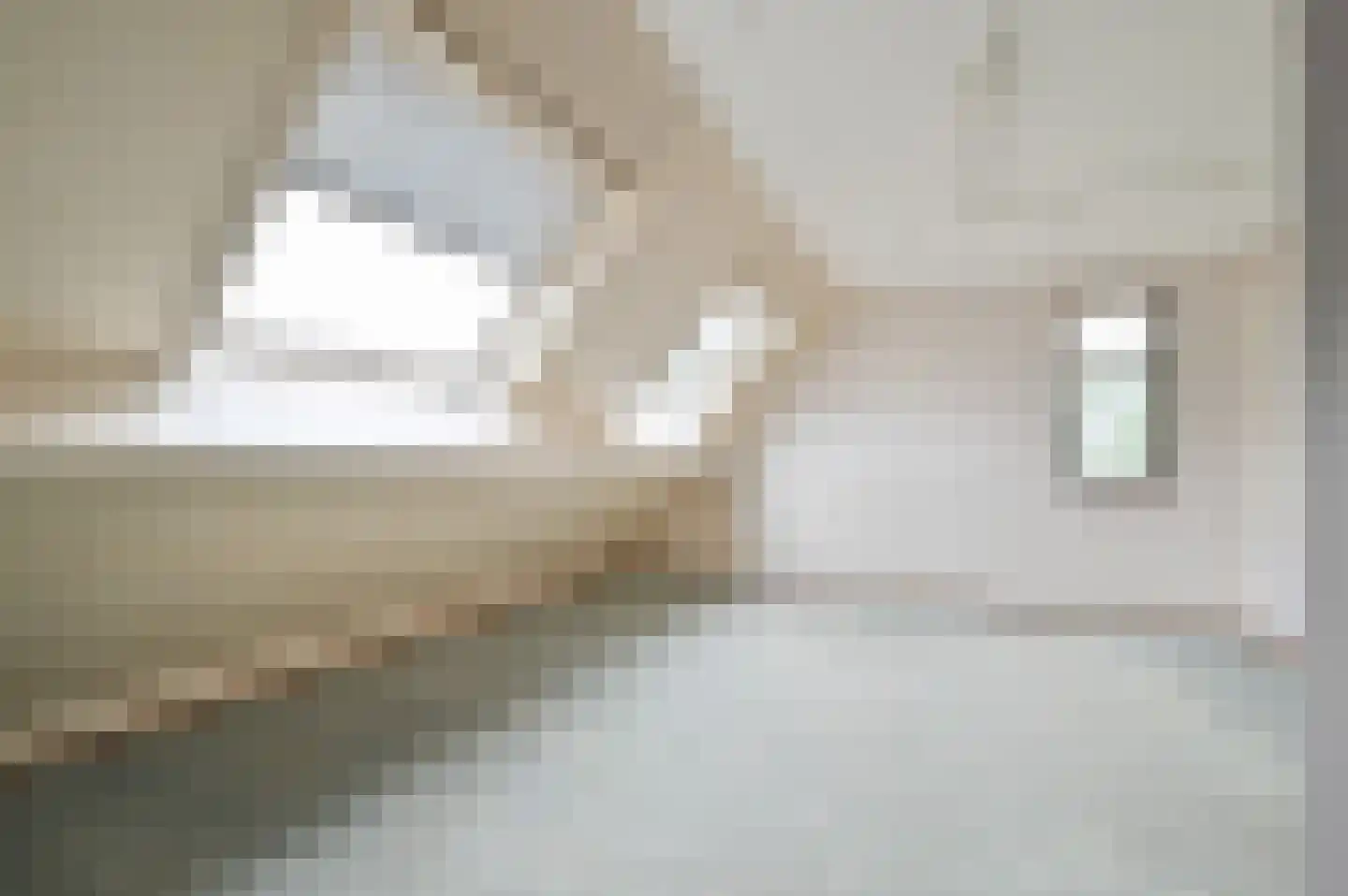 Zeelt 21 Wilnis thumbnail 20