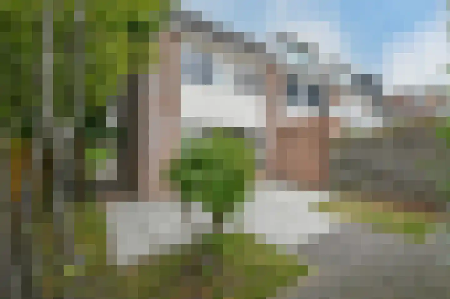 Zeelt 21 Wilnis thumbnail 26