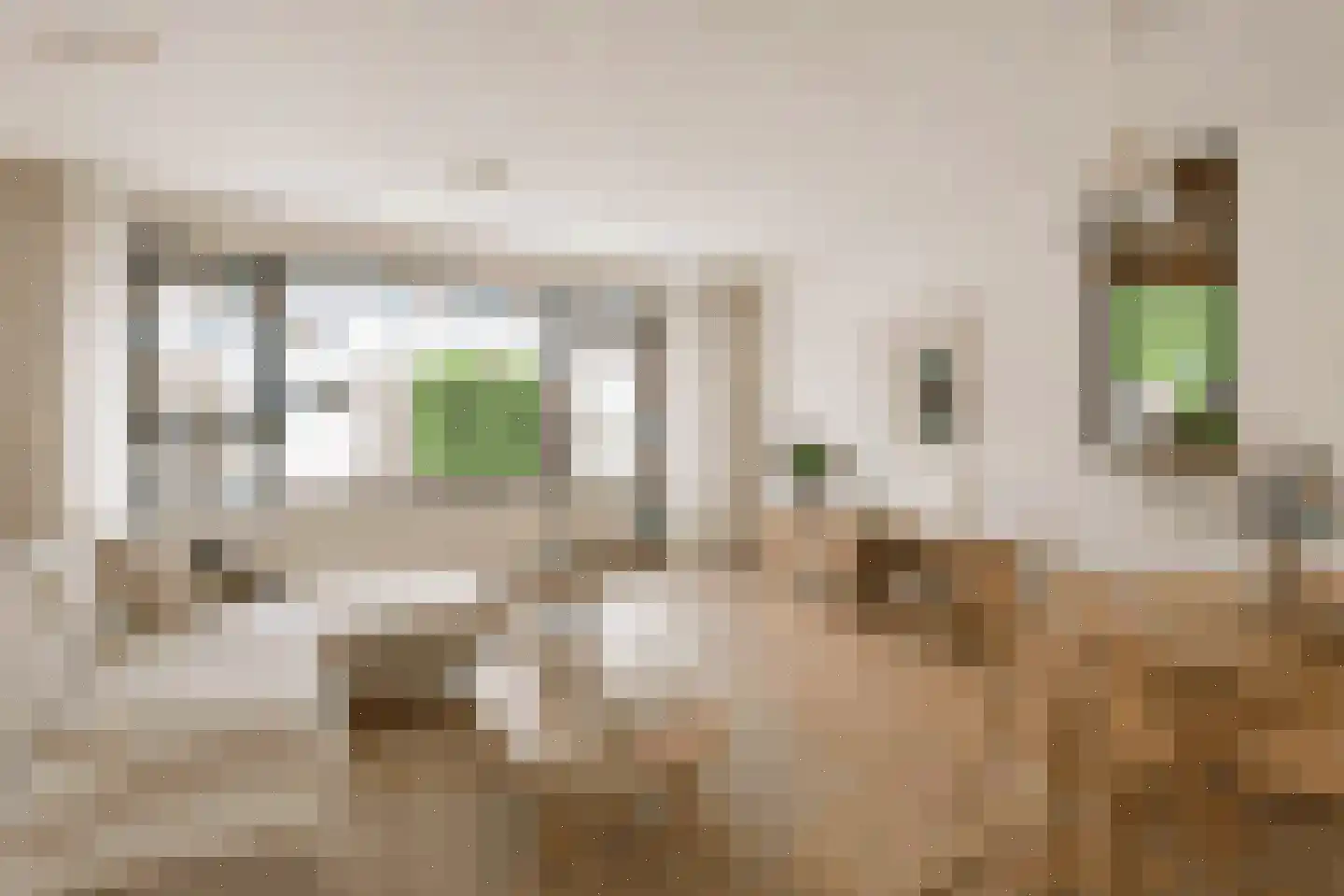 Zeelt 21 Wilnis thumbnail 4