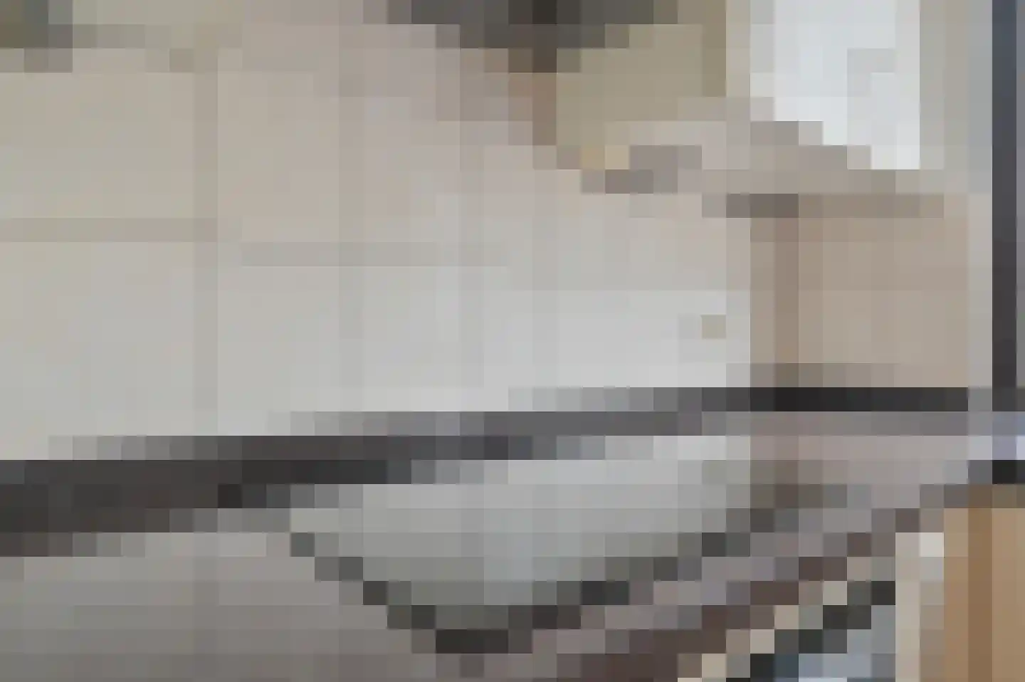 Zeelt 21 Wilnis thumbnail 6