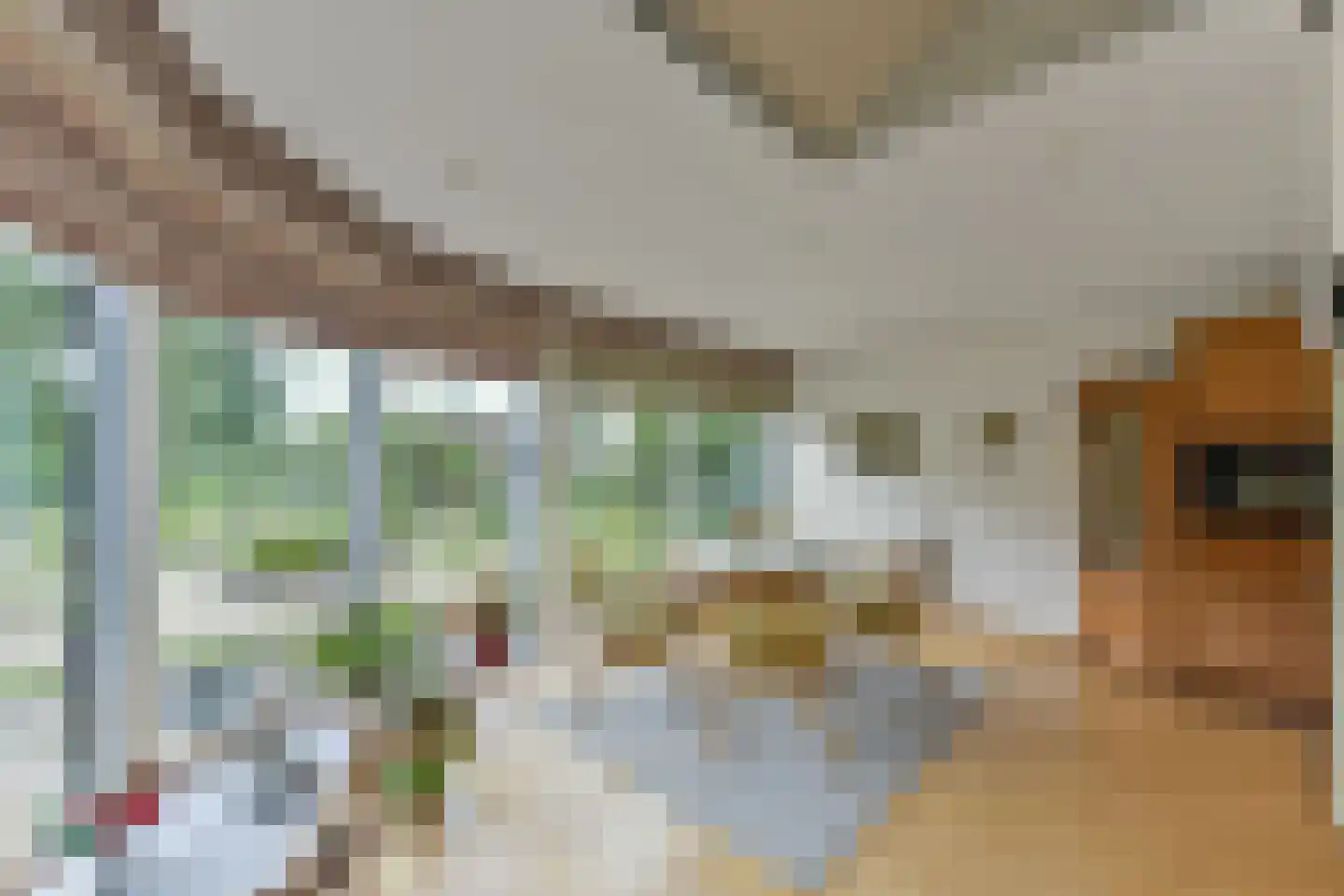 Zeelt 22 Wilnis thumbnail 10