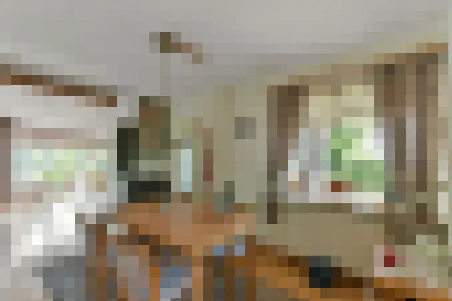 Zeelt 22 Wilnis thumbnail 15