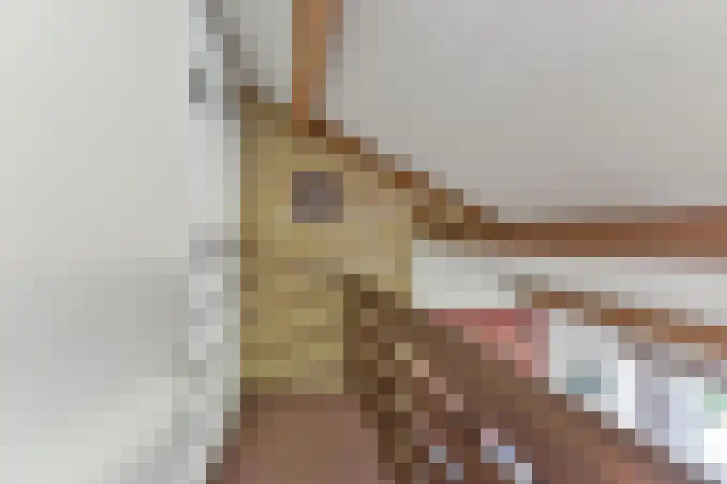Zeelt 22 Wilnis thumbnail 20