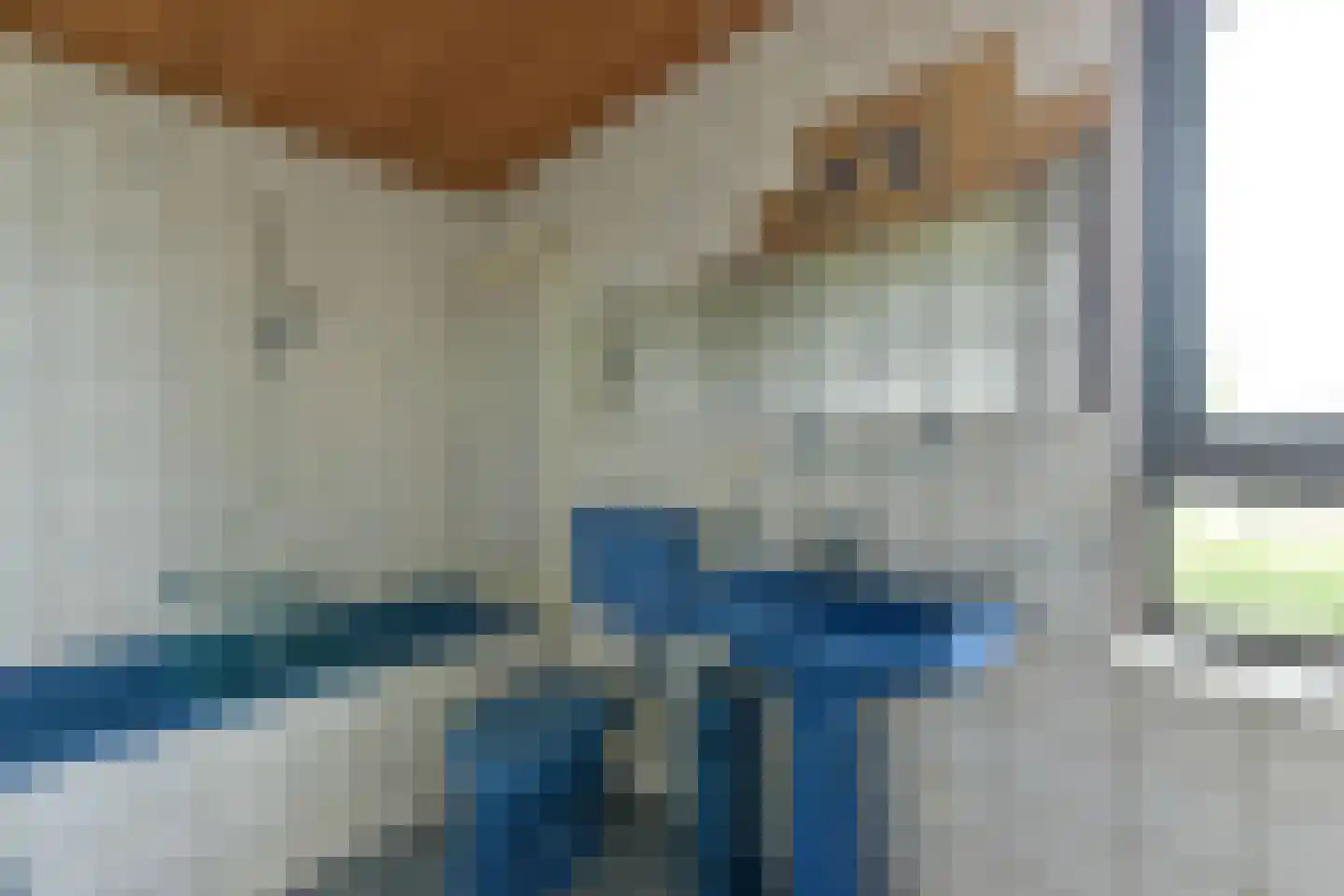 Zeelt 22 Wilnis thumbnail 26