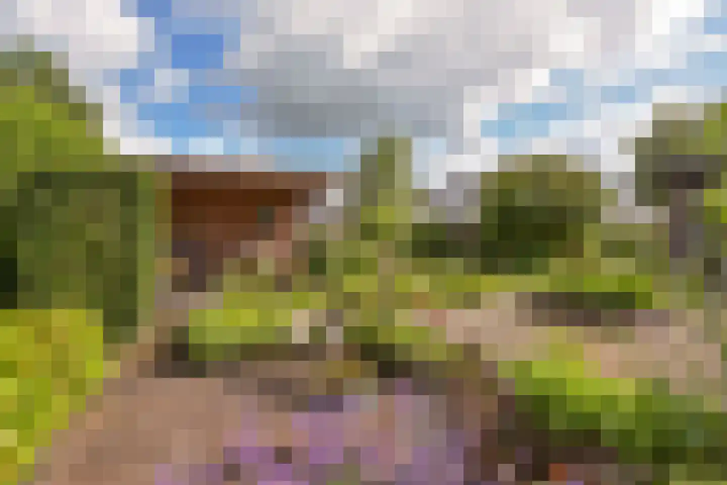 Zeelt 22 Wilnis thumbnail 29