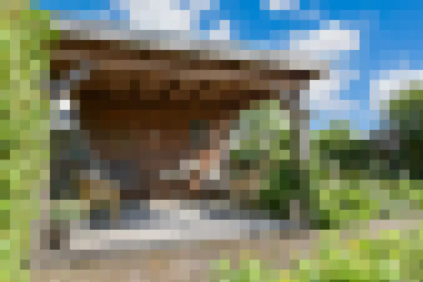Zeelt 22 Wilnis thumbnail 30