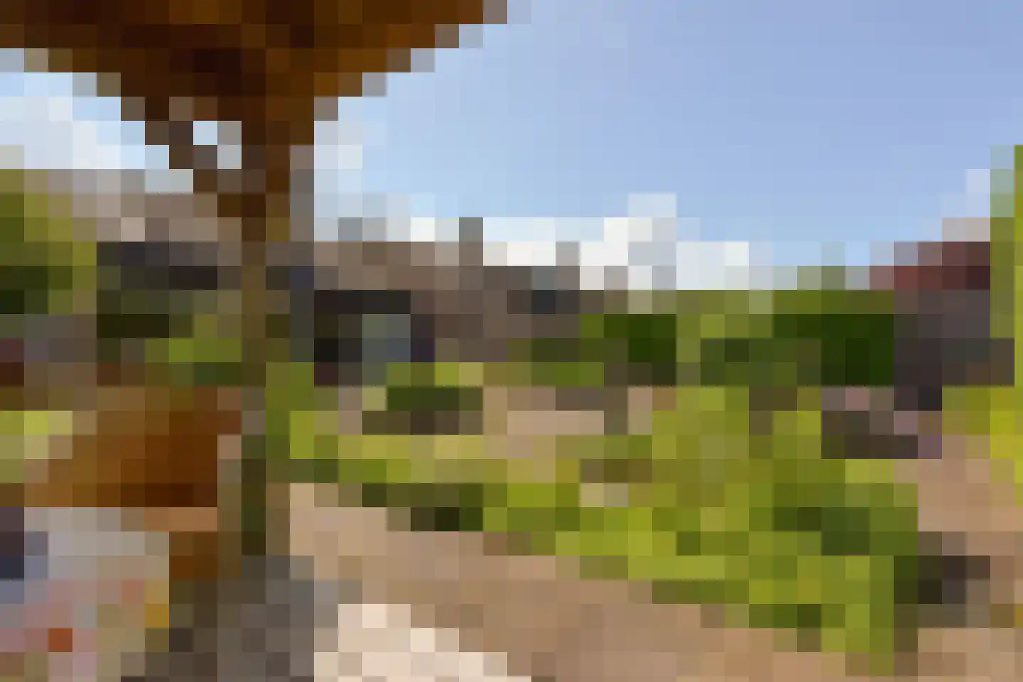 Zeelt 22 Wilnis thumbnail 31