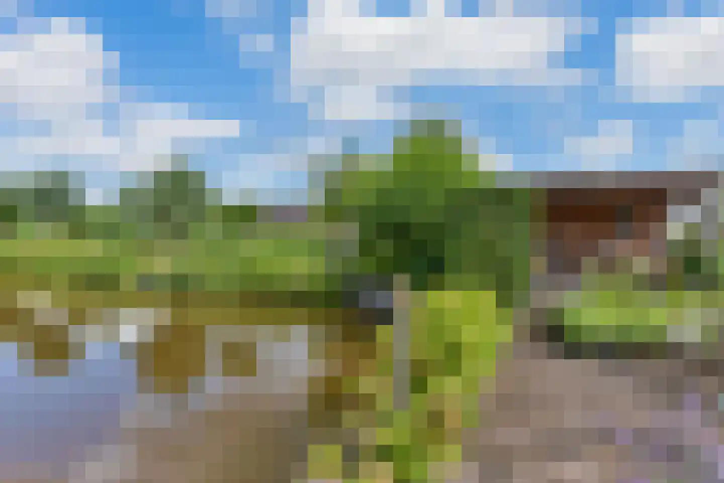 Zeelt 22 Wilnis thumbnail 32