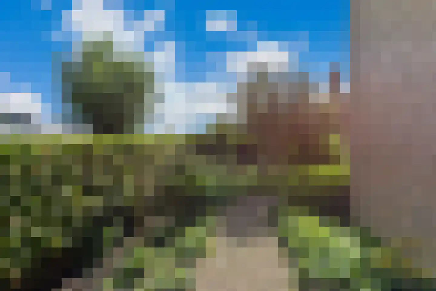 Zeelt 22 Wilnis thumbnail 36