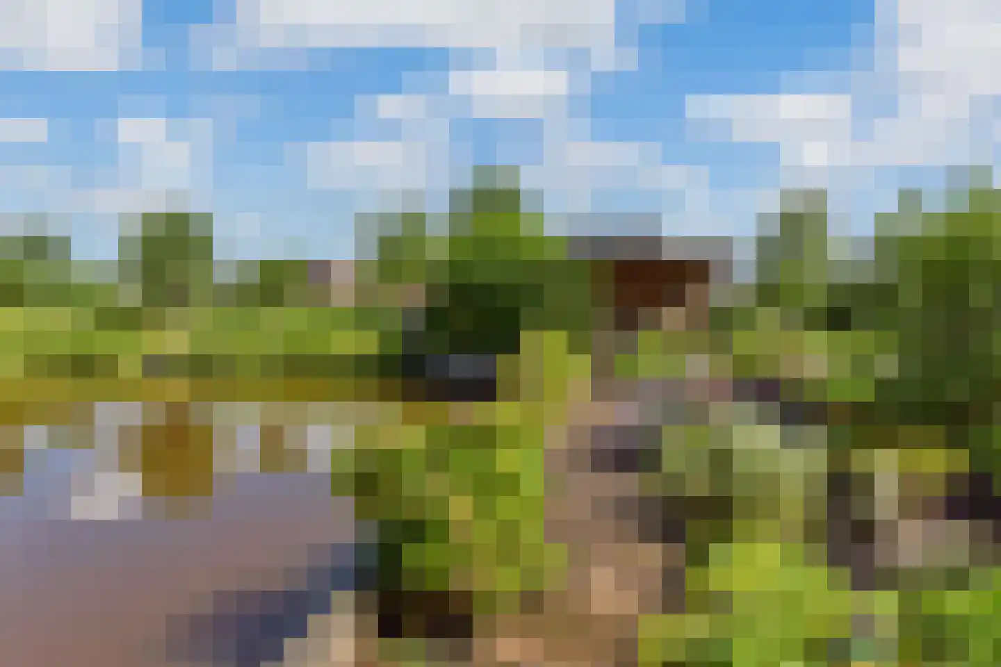 Zeelt 22 Wilnis thumbnail 40