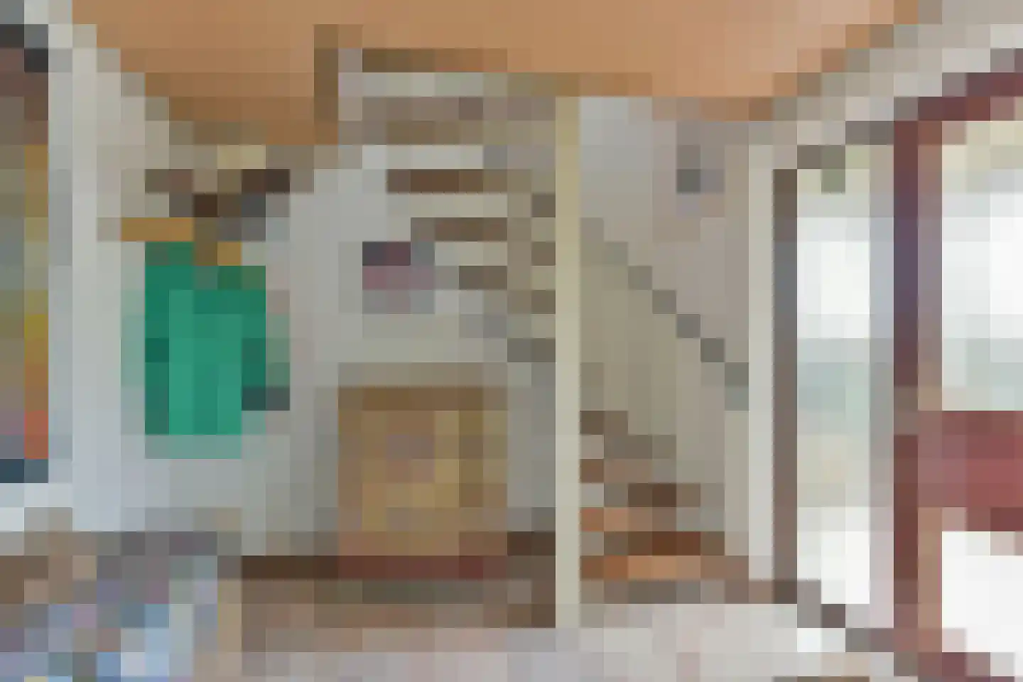 Zeelt 22 Wilnis thumbnail 6