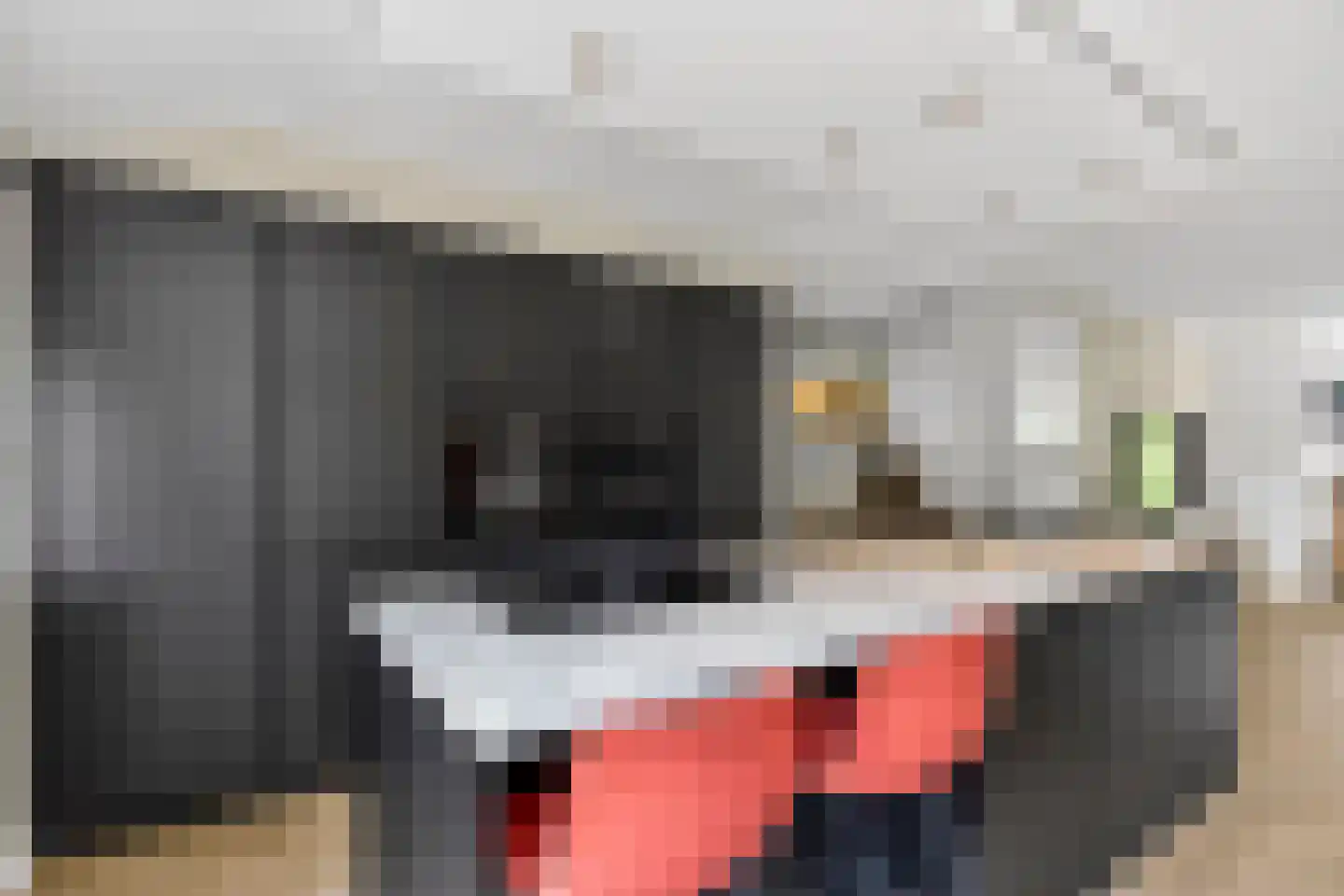 Zeelt 28 Bodegraven thumbnail 18