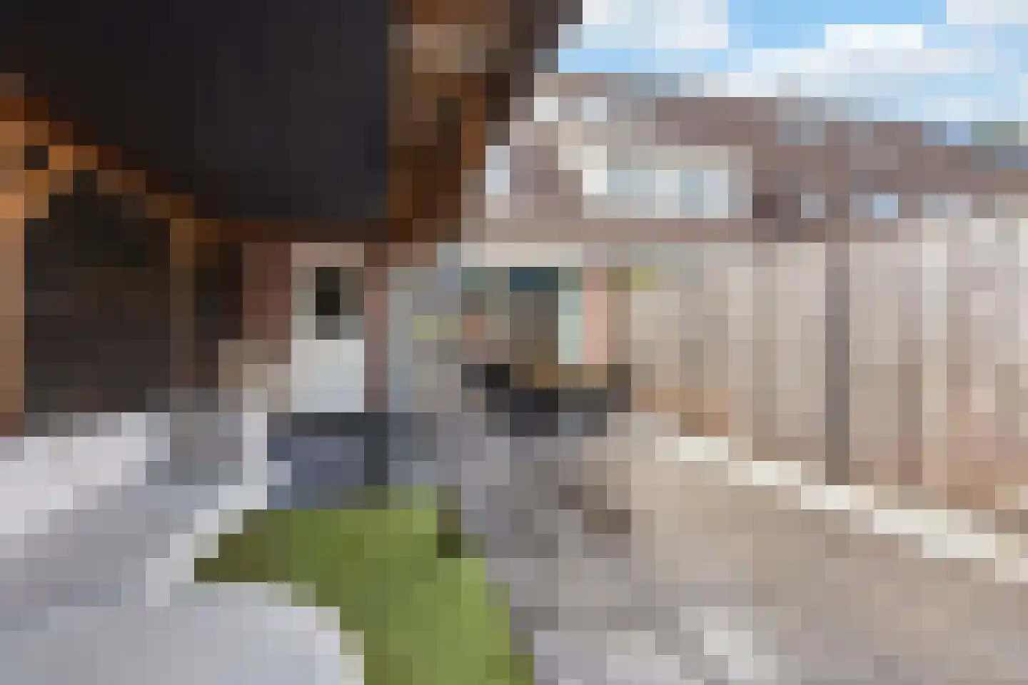 Zeelt 28 Bodegraven thumbnail 22