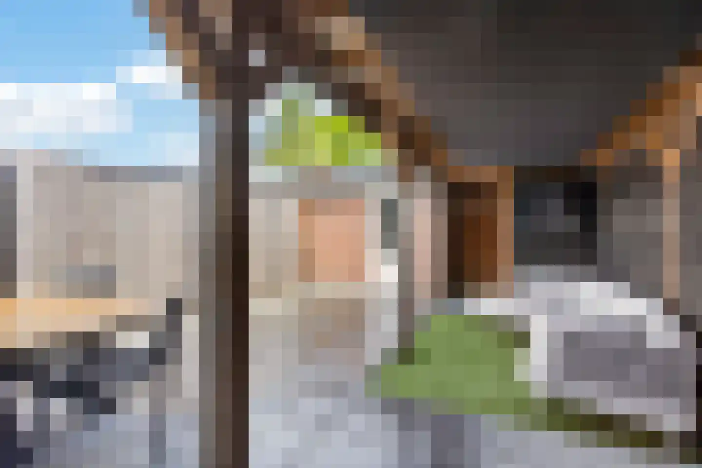 Zeelt 28 Bodegraven thumbnail 24