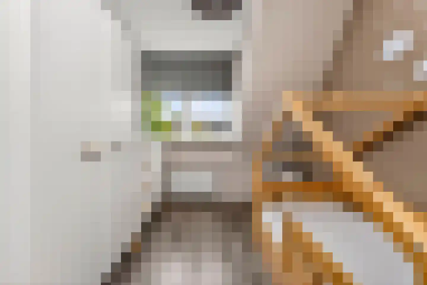 Zeelt 28 Bodegraven thumbnail 32