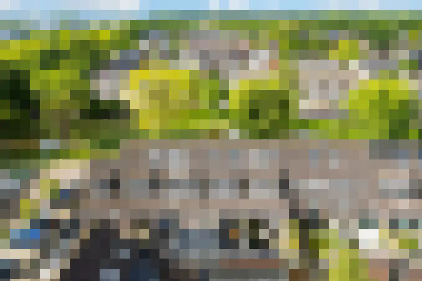 Zeelt 28 Bodegraven thumbnail 4