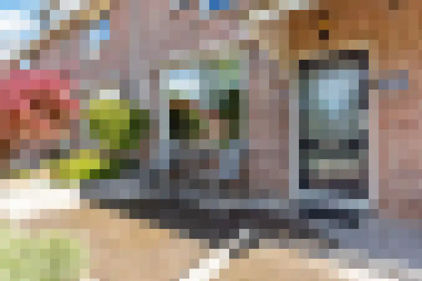 Zeelt 28 Bodegraven thumbnail 7