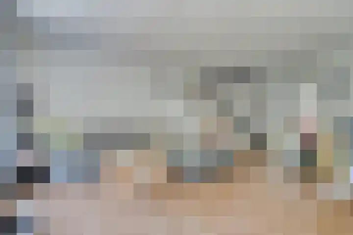 Zeelt 34 Alblasserdam thumbnail 10