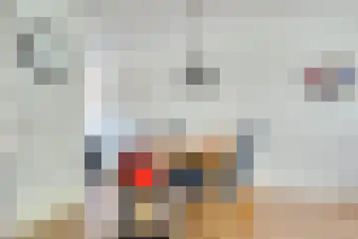 Zeelt 34 Alblasserdam thumbnail 12