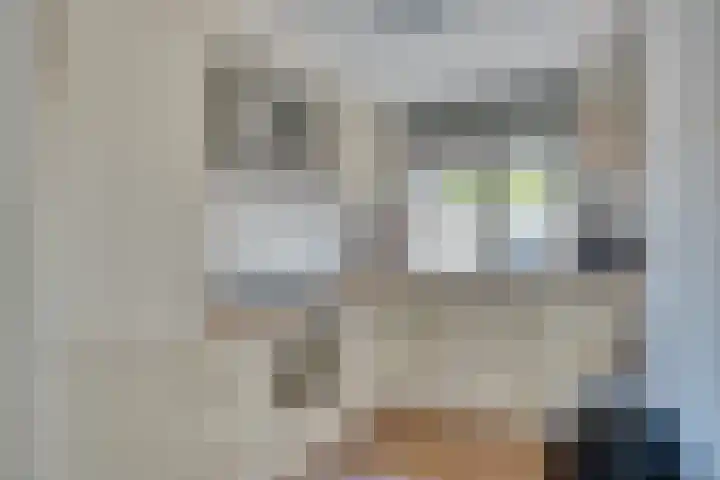 Zeelt 34 Alblasserdam thumbnail 13