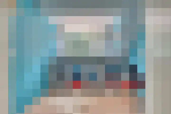 Zeelt 34 Alblasserdam thumbnail 17