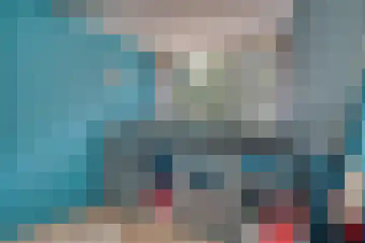 Zeelt 34 Alblasserdam thumbnail 18