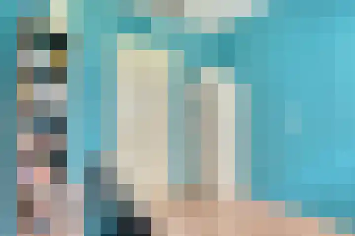 Zeelt 34 Alblasserdam thumbnail 19