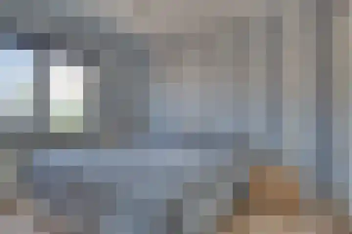 Zeelt 34 Alblasserdam thumbnail 20