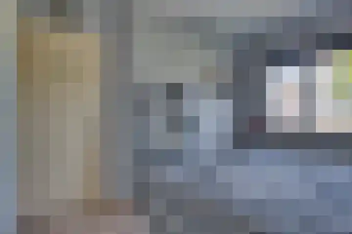 Zeelt 34 Alblasserdam thumbnail 21