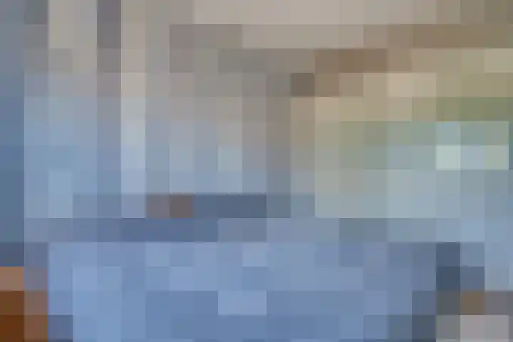 Zeelt 34 Alblasserdam thumbnail 22