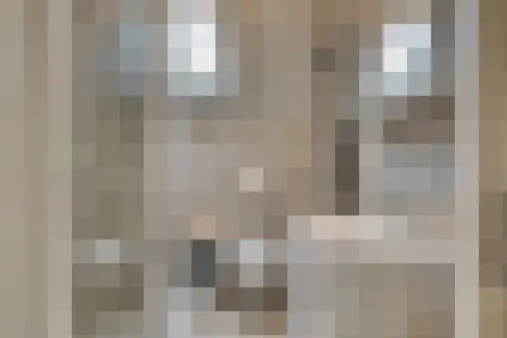 Zeelt 34 Alblasserdam thumbnail 26