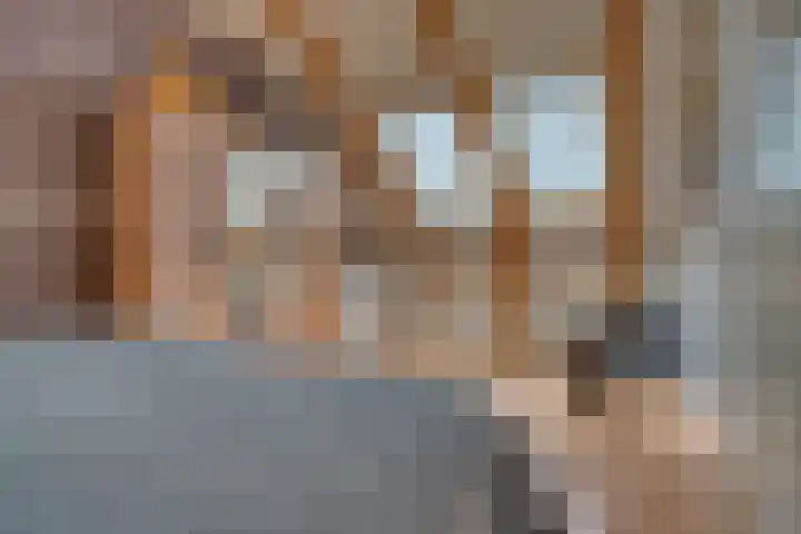 Zeelt 34 Alblasserdam thumbnail 29