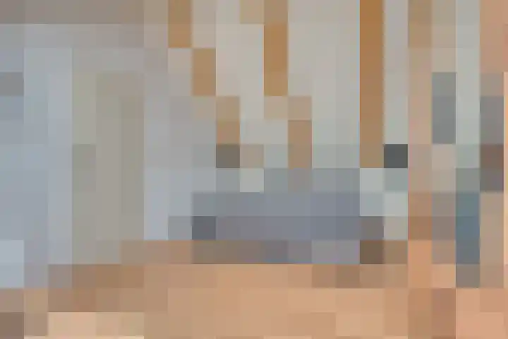Zeelt 34 Alblasserdam thumbnail 30