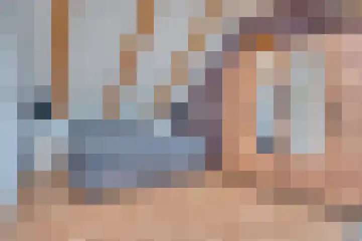 Zeelt 34 Alblasserdam thumbnail 31