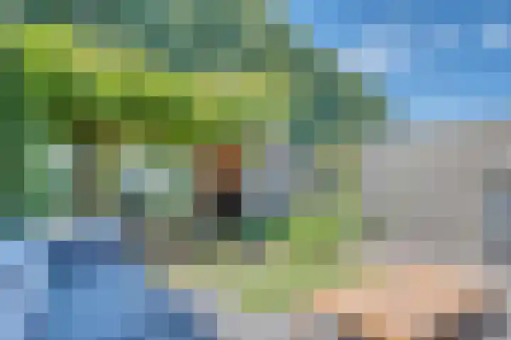 Zeelt 34 Alblasserdam thumbnail 32