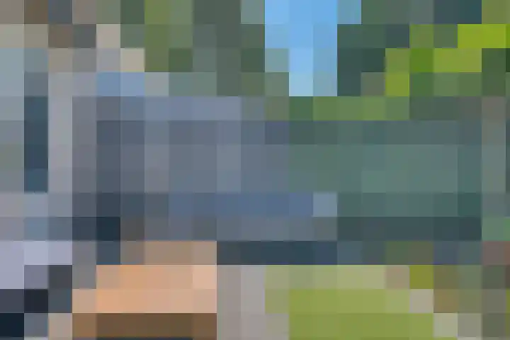 Zeelt 34 Alblasserdam thumbnail 33