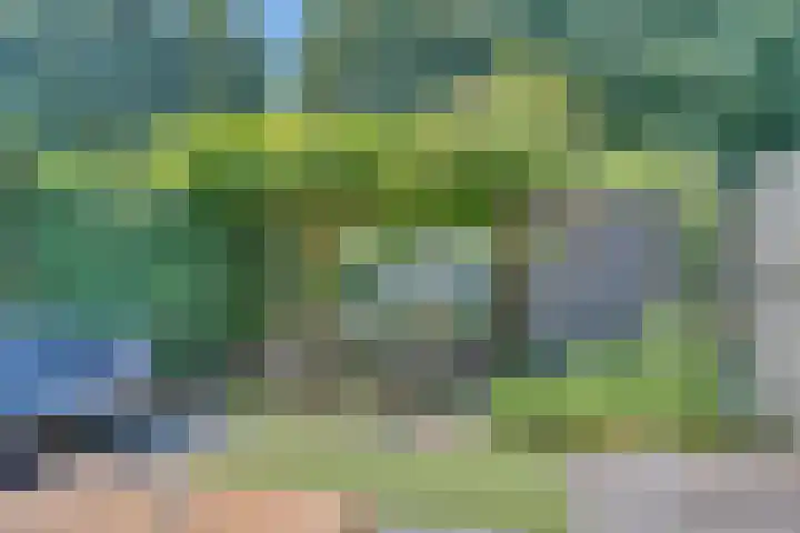 Zeelt 34 Alblasserdam thumbnail 34