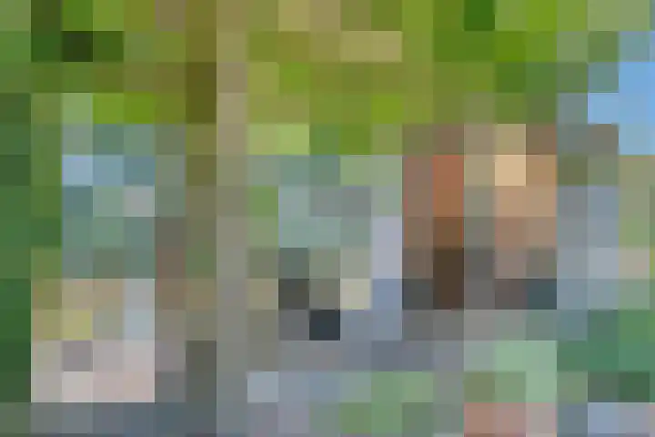 Zeelt 34 Alblasserdam thumbnail 35