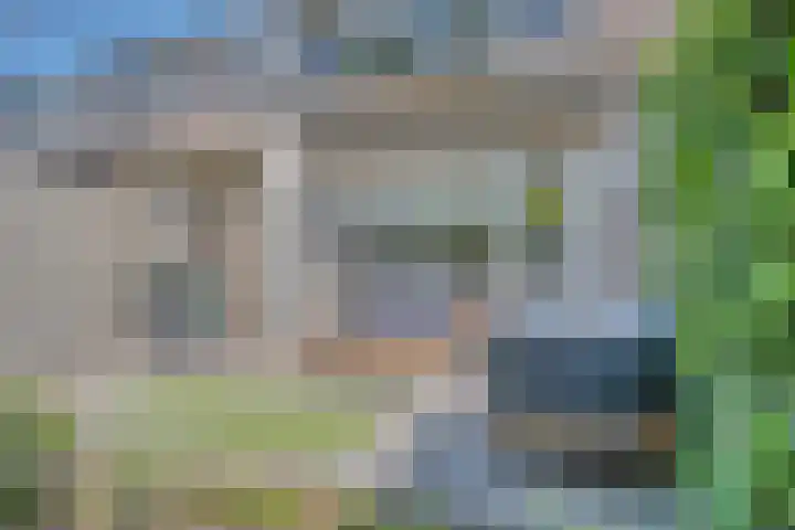 Zeelt 34 Alblasserdam thumbnail 36