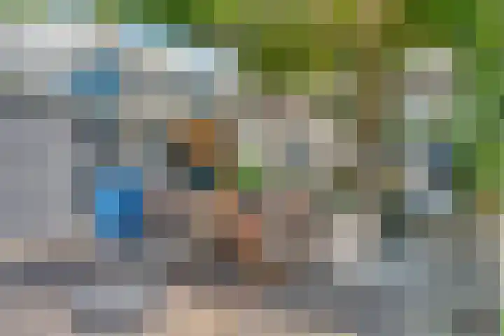 Zeelt 34 Alblasserdam thumbnail 37