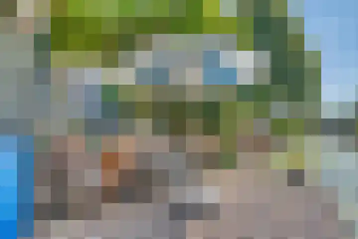 Zeelt 34 Alblasserdam thumbnail 38
