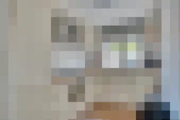 Zeelt 34 Alblasserdam thumbnail 4