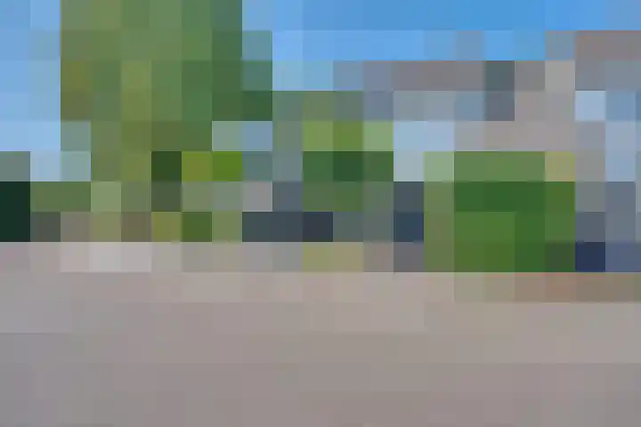 Zeelt 34 Alblasserdam thumbnail 40