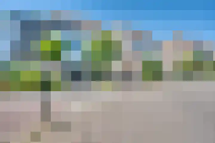 Zeelt 34 Alblasserdam thumbnail 5