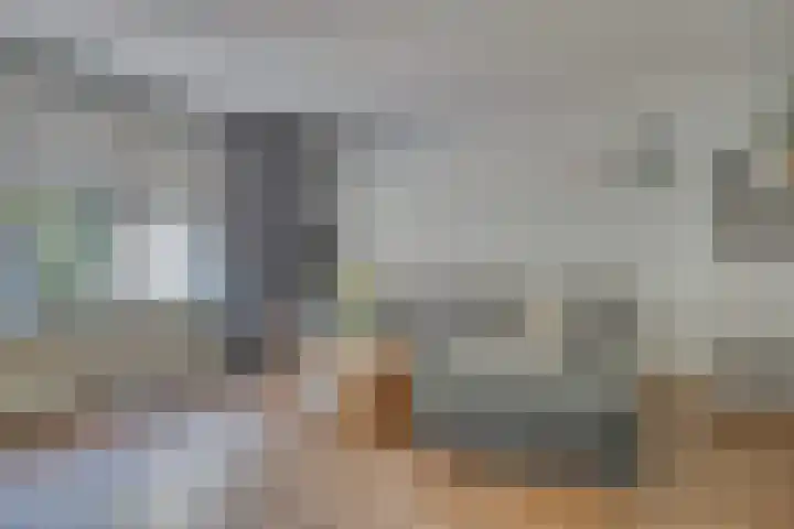 Zeelt 34 Alblasserdam thumbnail 9