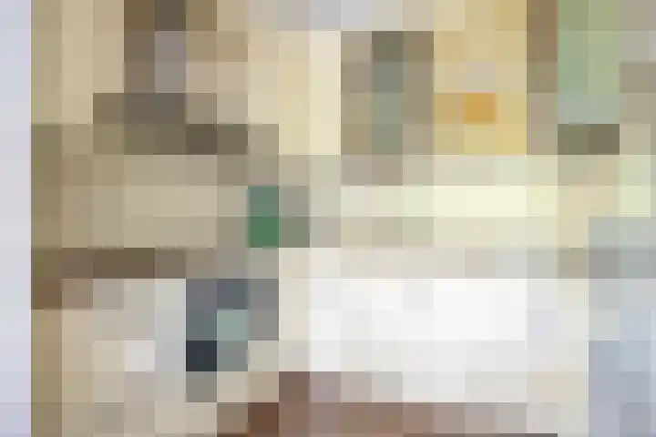 Zeelt 4 Amersfoort thumbnail 11