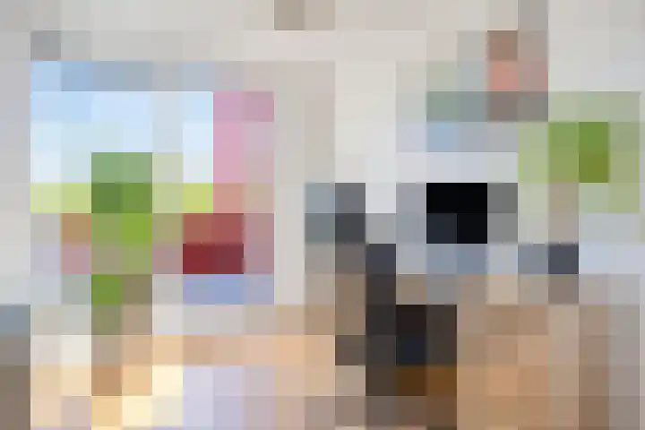 Zeelt 4 Amersfoort thumbnail 13