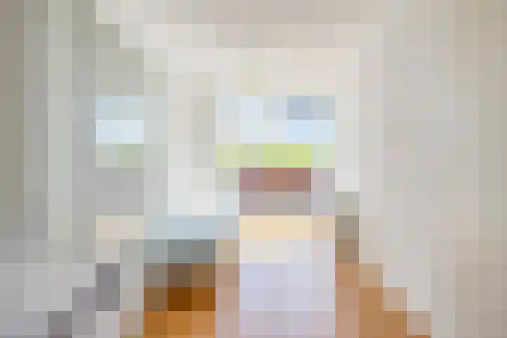 Zeelt 4 Amersfoort thumbnail 14