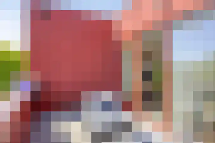 Zeelt 4 Amersfoort thumbnail 16