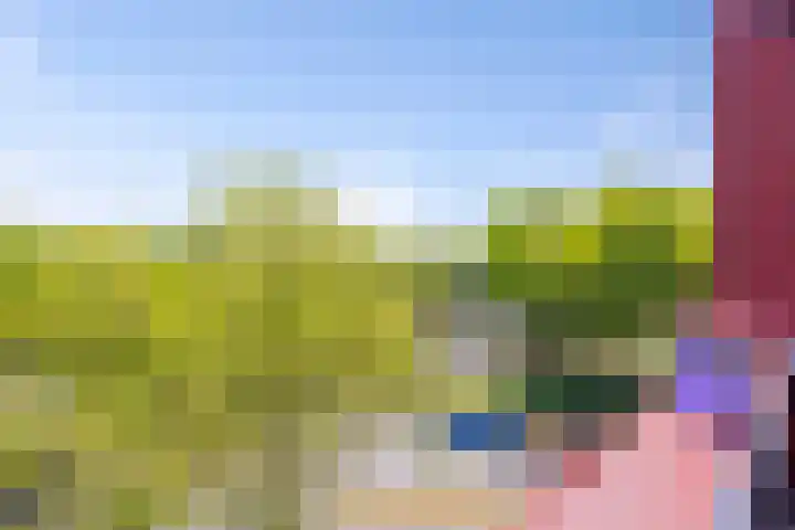 Zeelt 4 Amersfoort thumbnail 17